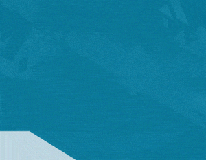 Brand animation example 