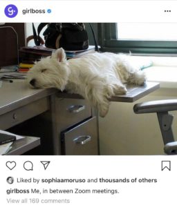 Using Humor on Social Media