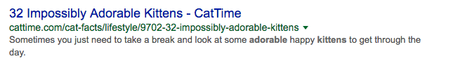adorable kittens SEO search