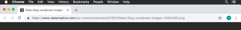Image title field in WordPress