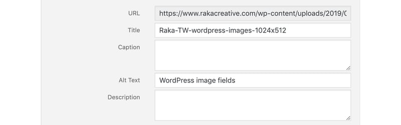 Wordpress Fields